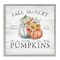 Stupell Industries Fall Country Market Pumpkins Framed Giclee Art